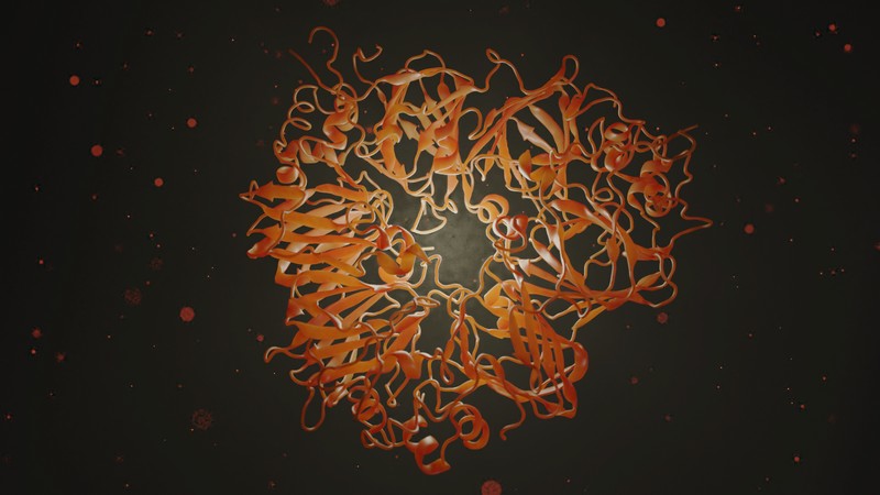 Portfolio Image